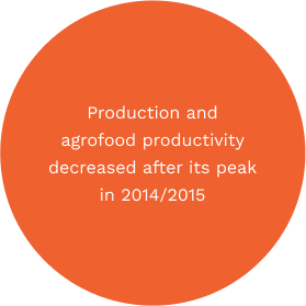 Production and agrofood productivity decreased after its peak in 2014/2015