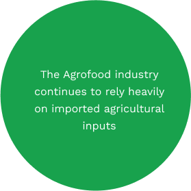 The Agrofood industry continues to rely heavily on imported agricultural inputs