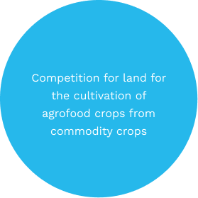 Competition for land for the cultivation of agrofood crops from commodity crops