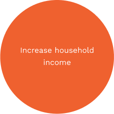 Increase household income