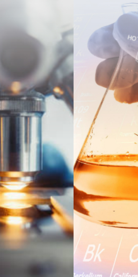 kedah science and technology park