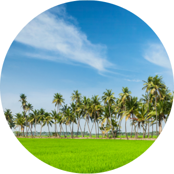 Estate Management Model 2.0