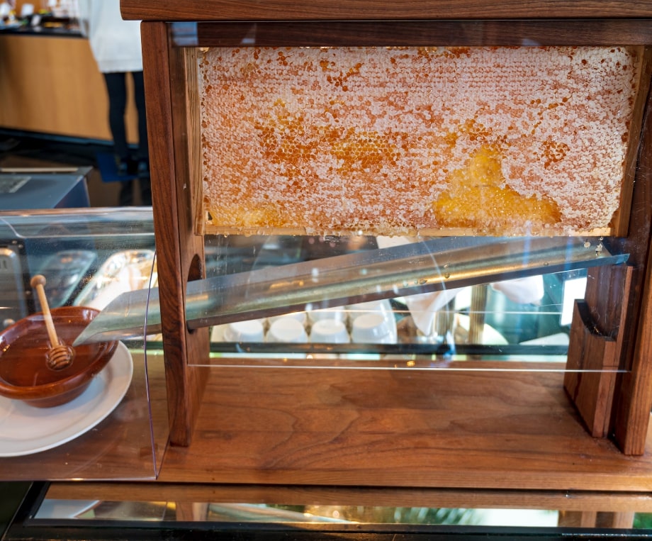 Promotion & Sales Gallery