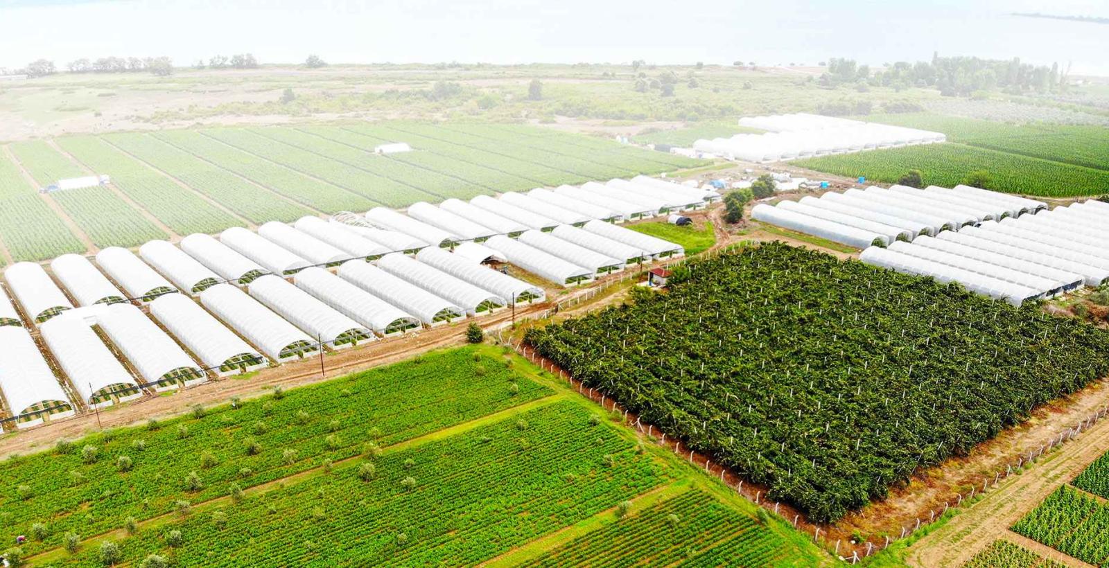 NCER AgriBio Economic  Zone (NAEZ)
